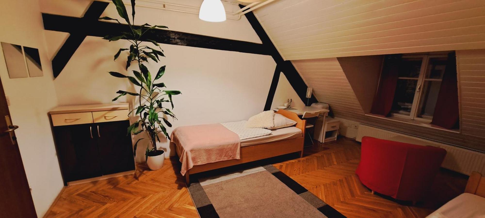 Viksi Hostel Любляна Номер фото